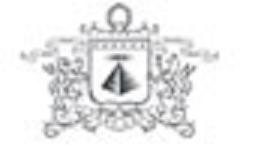 Партнёр 1